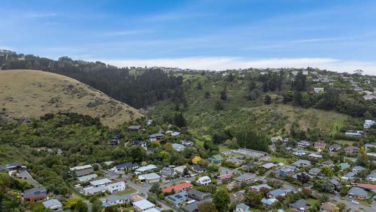 44A Rapaki Road Hillsborough_7