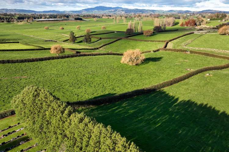 Picquet Hill Road Te Awamutu_7