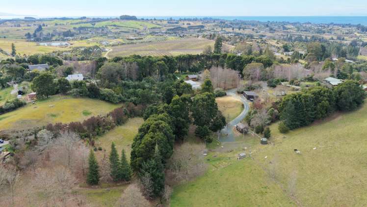 337 Old Coach Road Upper Moutere_20