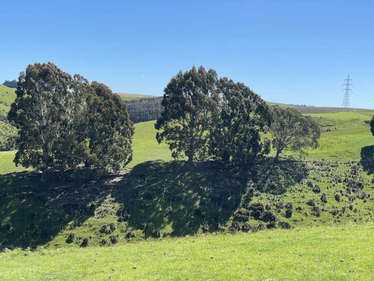 Cameron Road Tapanui_6