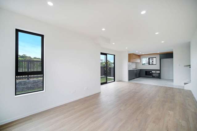 21 Nanjing Road Pukekohe_3