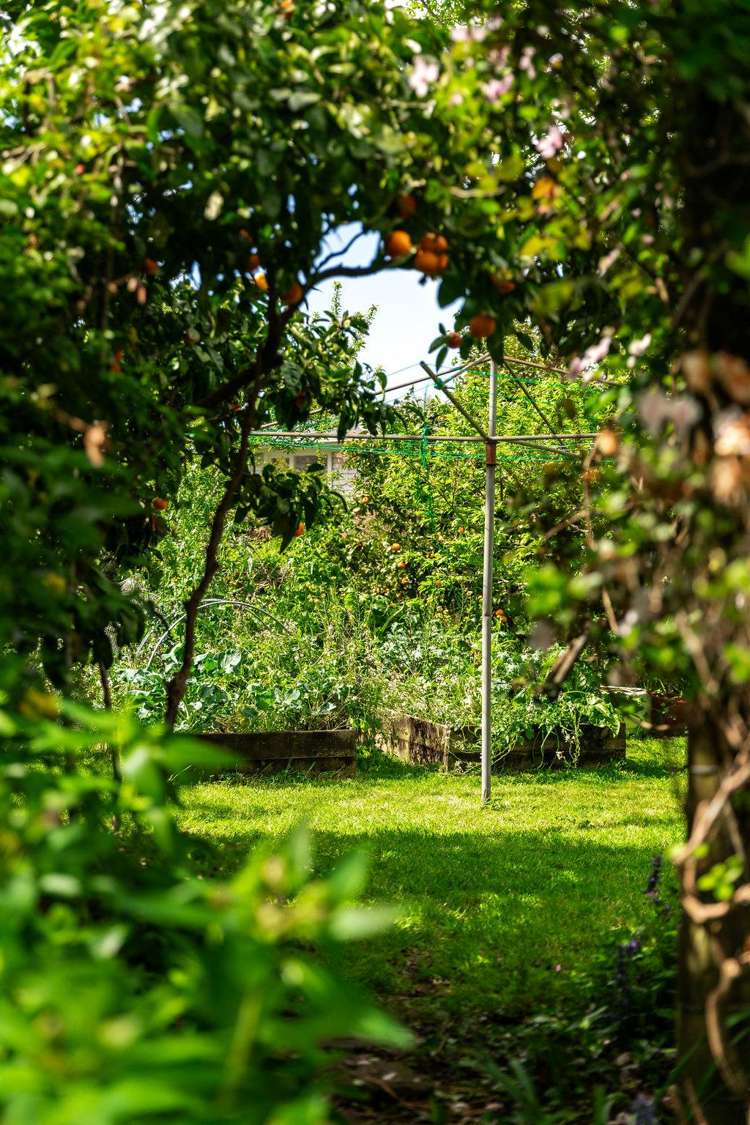 42 Galbraith Street Waihi_23