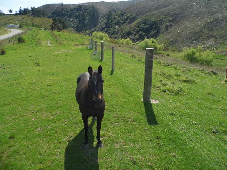 350 Kowhatu Road Waihaorunga_12