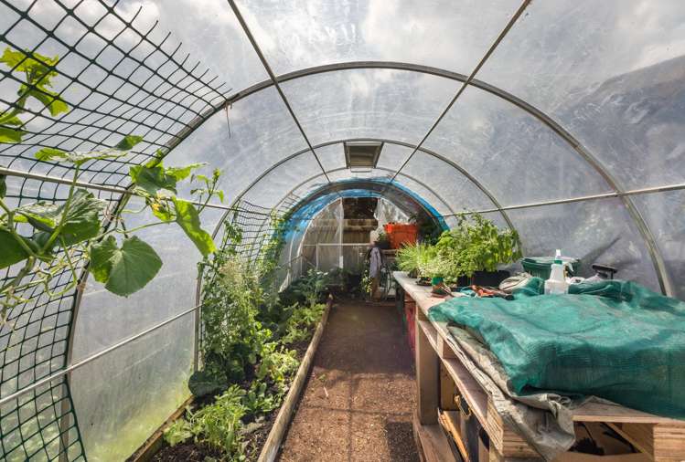 20 Corbett Street Paeroa_20