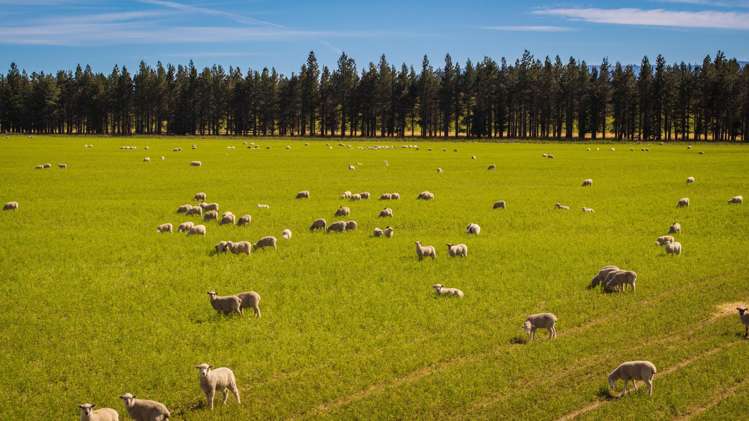 Address withheld Middlemarch_10