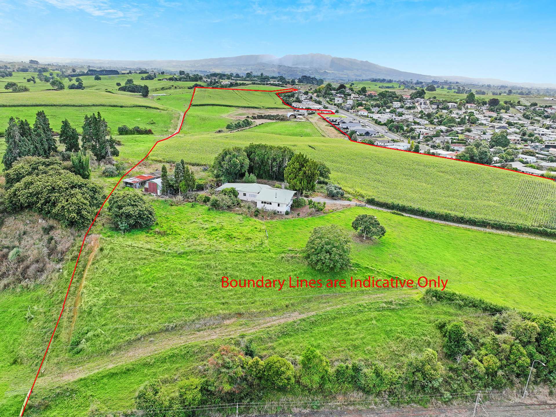 1599 Rewi Street Te Awamutu_0