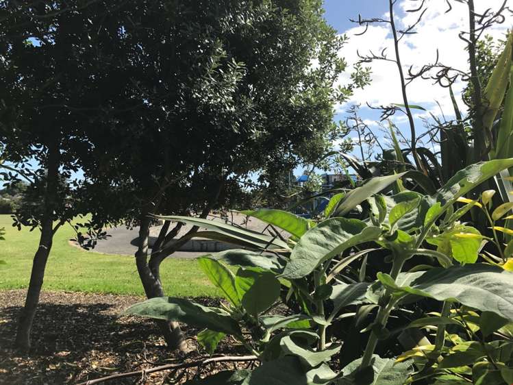 2/19 Harwood Road Mount Wellington_6