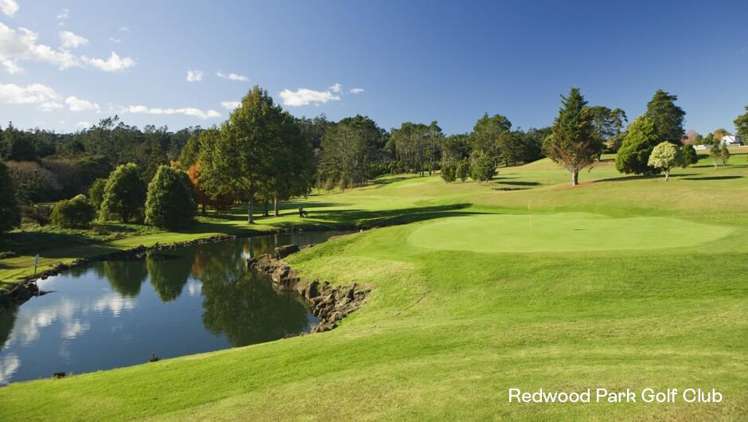 Lot 139 Babich Rise_4