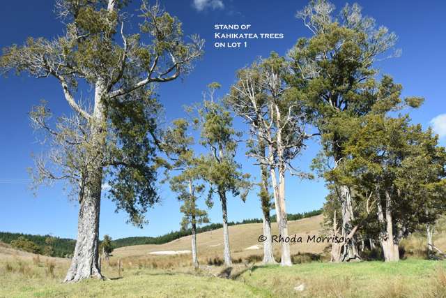 Two Premium 9 & 17 Ha Blocks