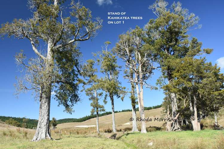 Golden Stairs Rd Maungaturoto_6