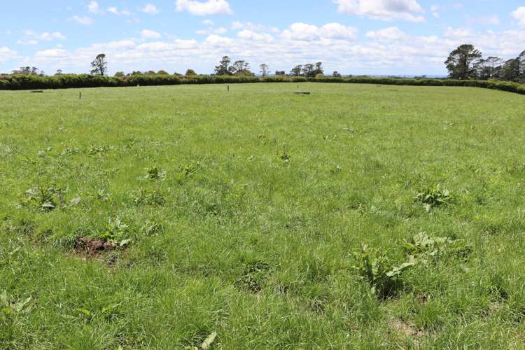 172 Radnor Road Midhirst_11