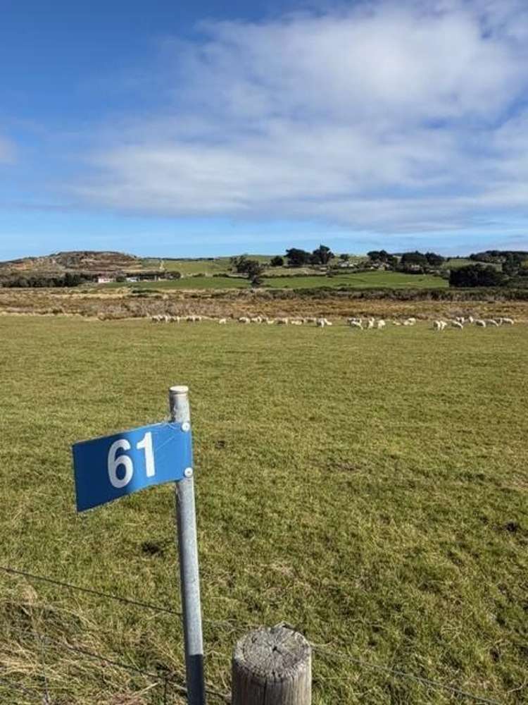 61 Clark Road Omaui_9