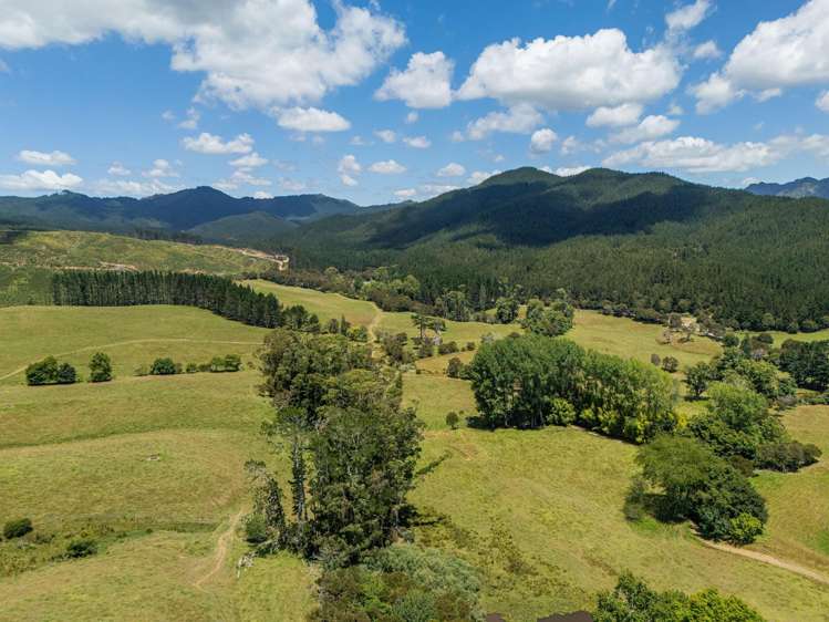 106 State Highway 25 Otapaurau_13