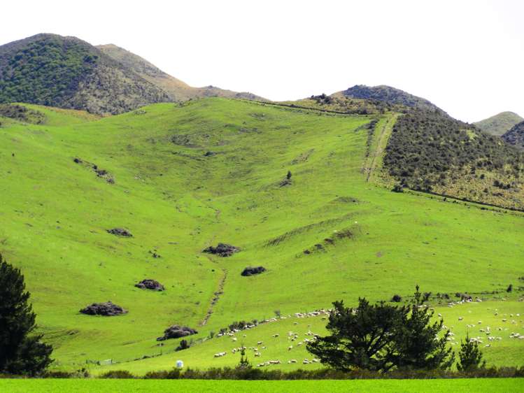 231 Powers Road Hawarden_14