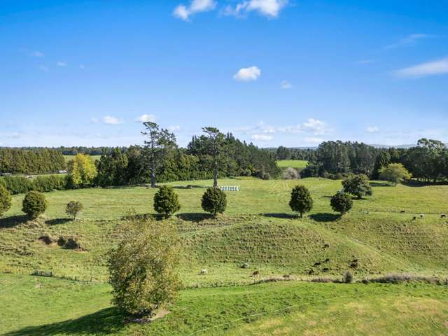 288 Oropi Gorge Road Oropi_1