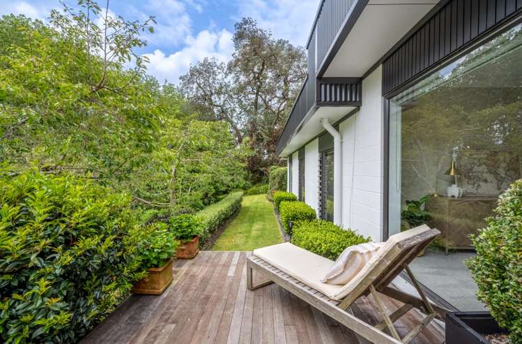 18 Ara-Kotinga Whitford_20