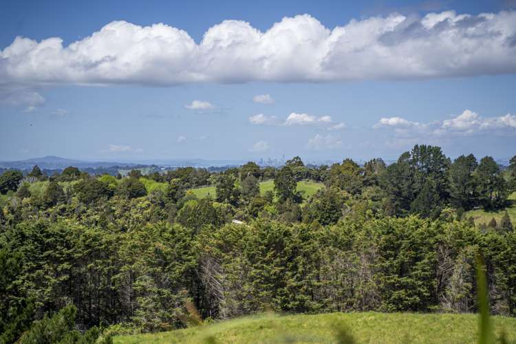 62 Caton Road Waitakere_29