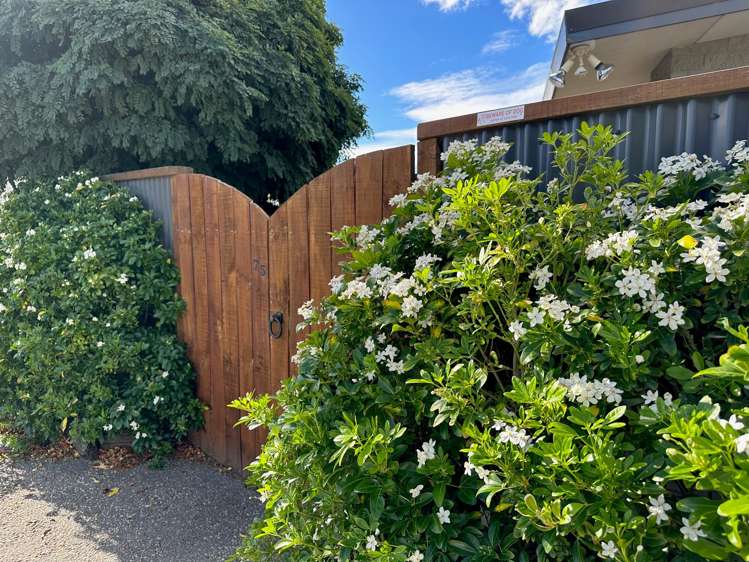 75a Inniscort Street Cromwell_23