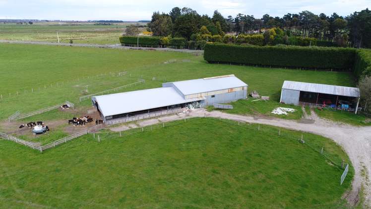 39 Hall Road Awarua Plains_2