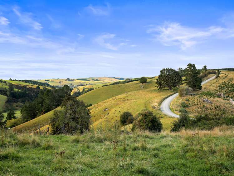 353 Blue Spur Road_5