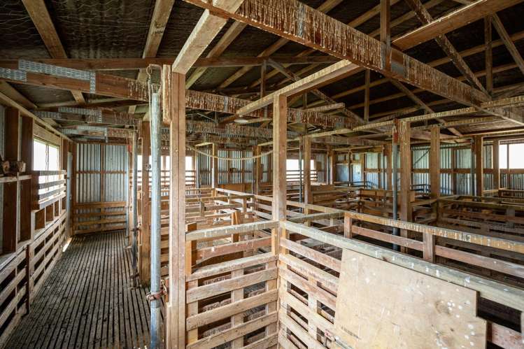 121 Win Valley Road Dovedale_10