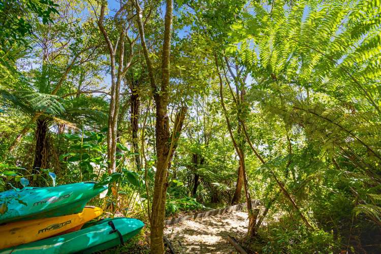 47 Chatham Avenue Paremoremo_21