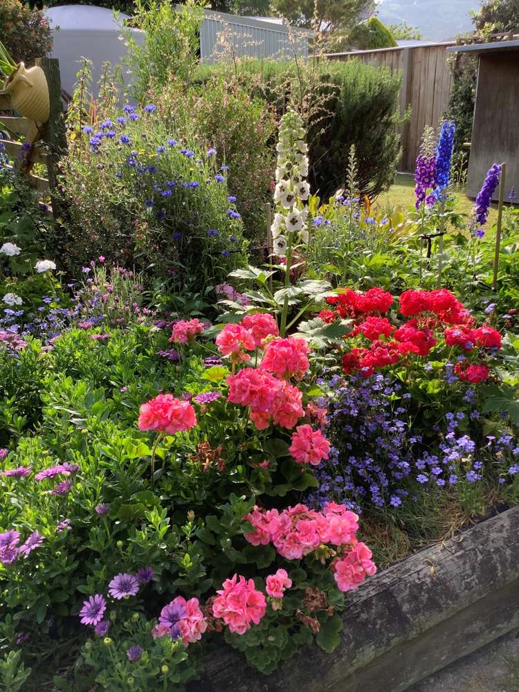 29 Domain Road Ormond_19