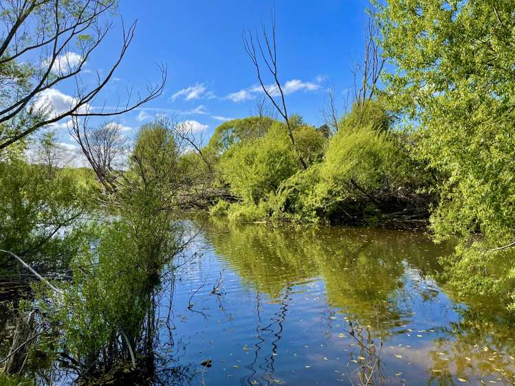 Hakataramea Highway Waimate_6