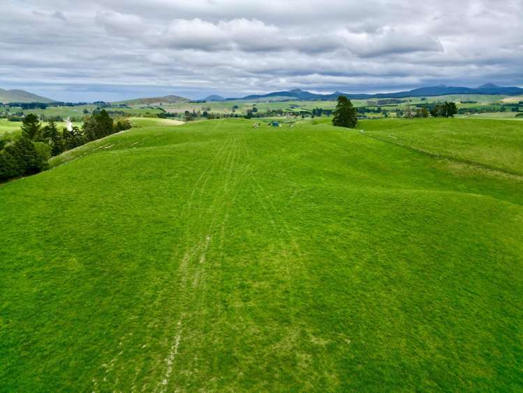 Palmerston-Dunback Road/Switchback Road Palmerston_18