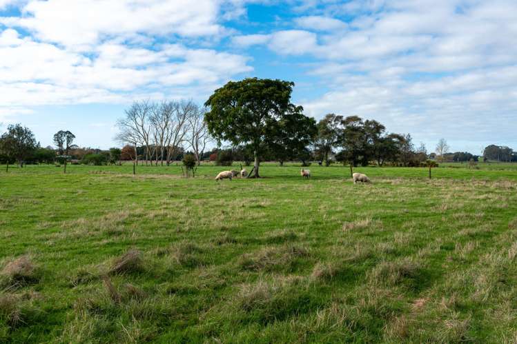 9 Herman Road Rukuhia_21