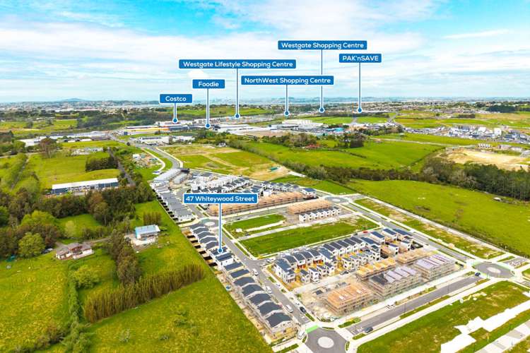 47 Whiteywood Street Westgate_2