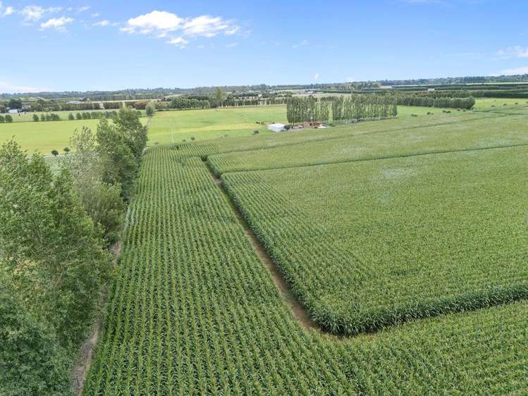 349 Wakanui Road Ashburton_10