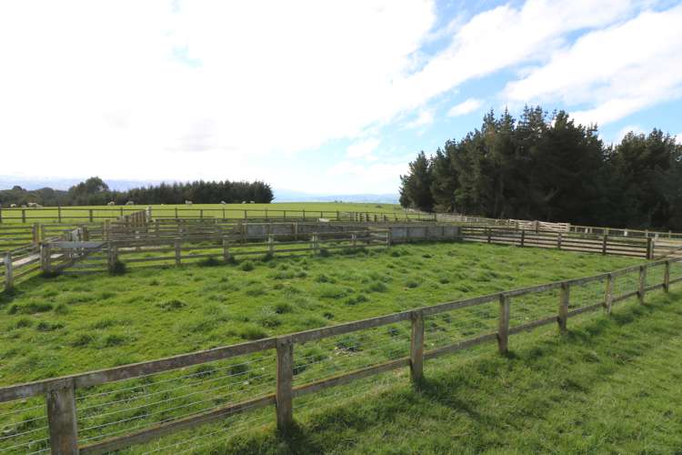 348 Keppoch Road West Otago Surrounds_15