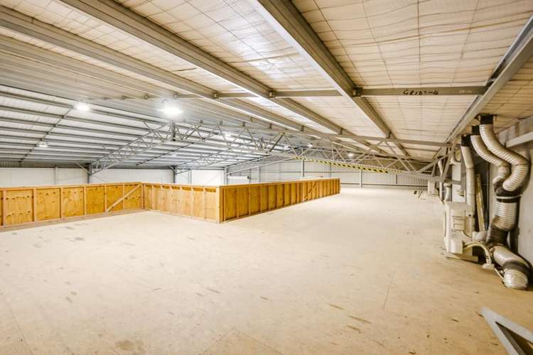 58 Ford Road Onekawa_18