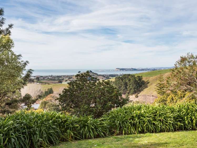 138 Seafield Road Eskdale_3