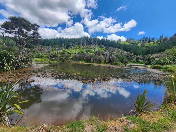 241 Work Road Aongatete_18