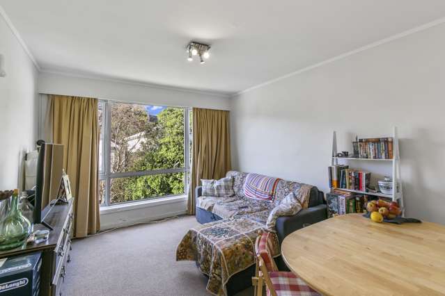 99 Coromandel Street Newtown_3