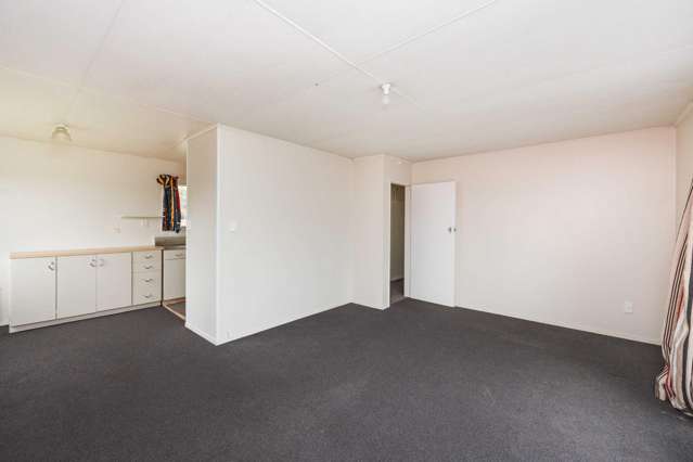 14 Martin Harvery Street Levin_3