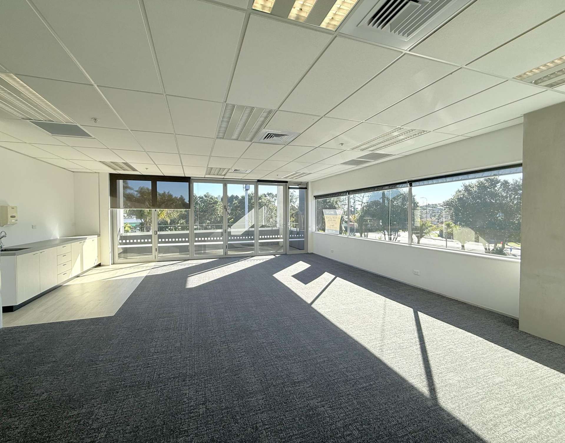 119 Apollo Drive Albany_0