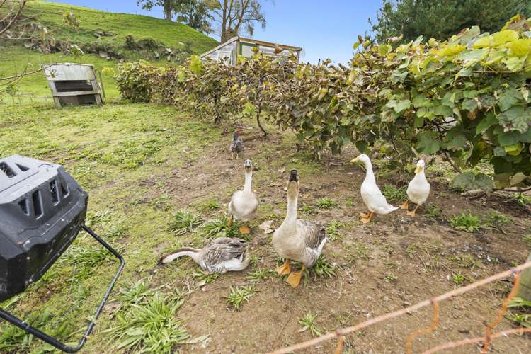 52 Dukeson Road Lichfield_22