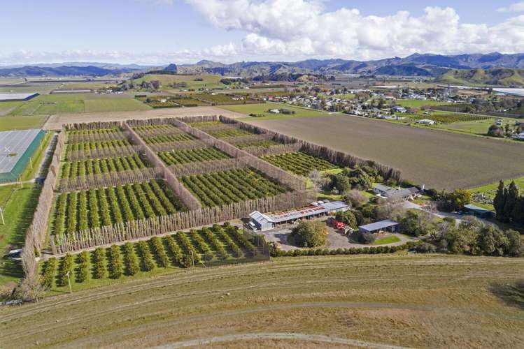 64 Cemetery Road Patutahi_3