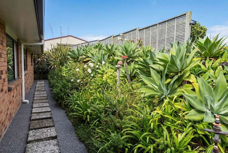 90 Gilbert Road Mata_25