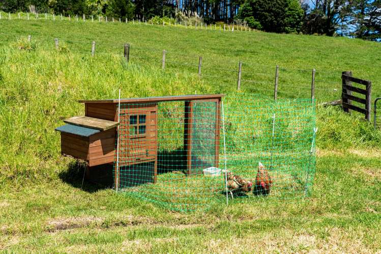 1822 State Highway 12 Paparoa_27