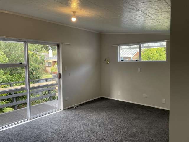 4A Willis Street Whanganui East_3