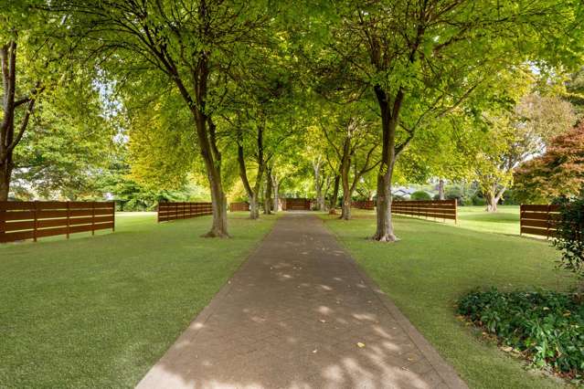 1/59c Western Ave Omokoroa Beach_4