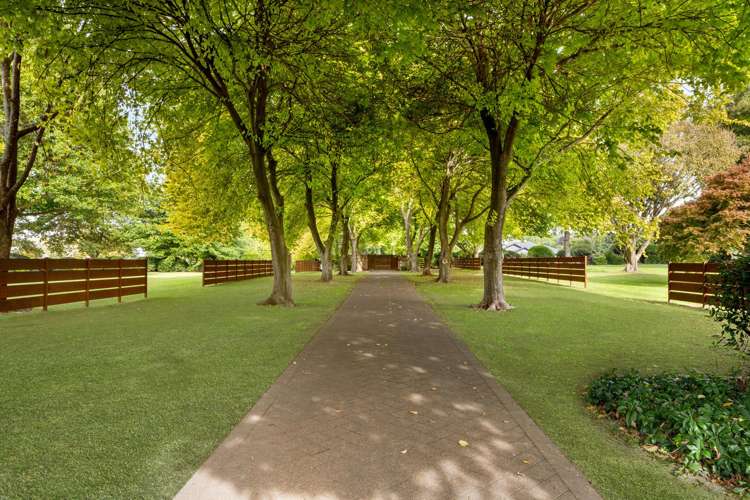 1/59c Western Ave Omokoroa Beach_4