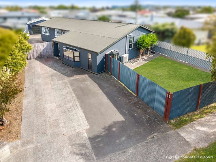 56 Alexander Avenue Onekawa_24