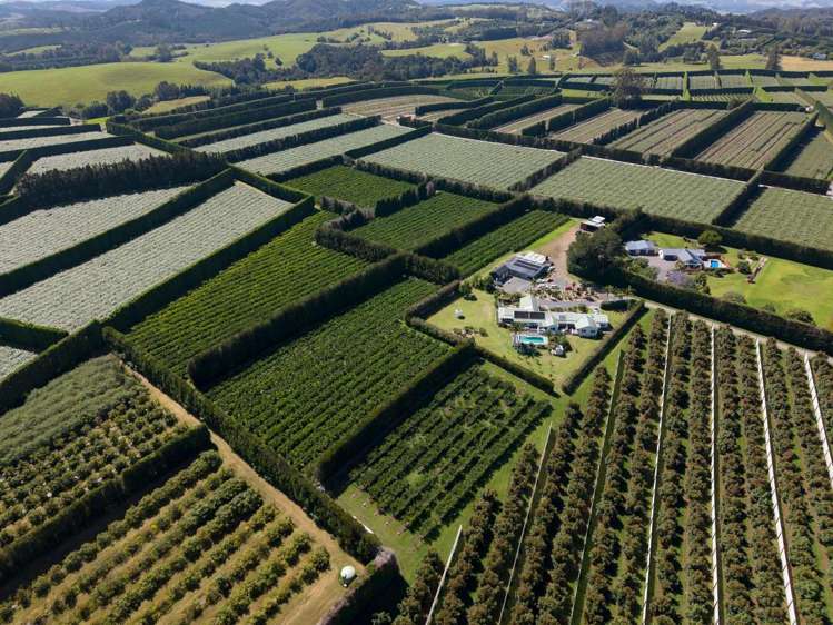 581D Kerikeri Road Kerikeri_17