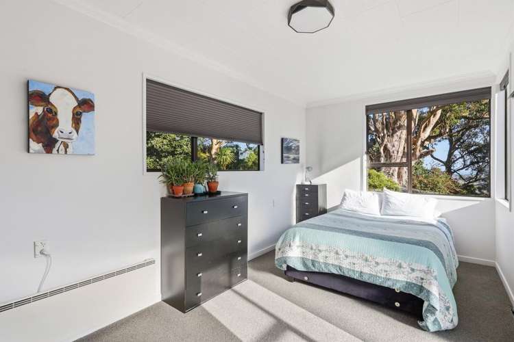 47 Every Street Andersons Bay_12