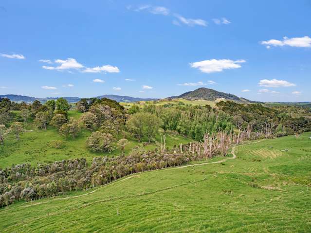 / Lot 3 Judd Road Maungaturoto_2